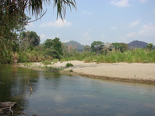 rio capaya - copia.jpg